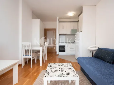 Izdavanje, garsonjera, 30m², Tuški Put, Podgorica - image 2