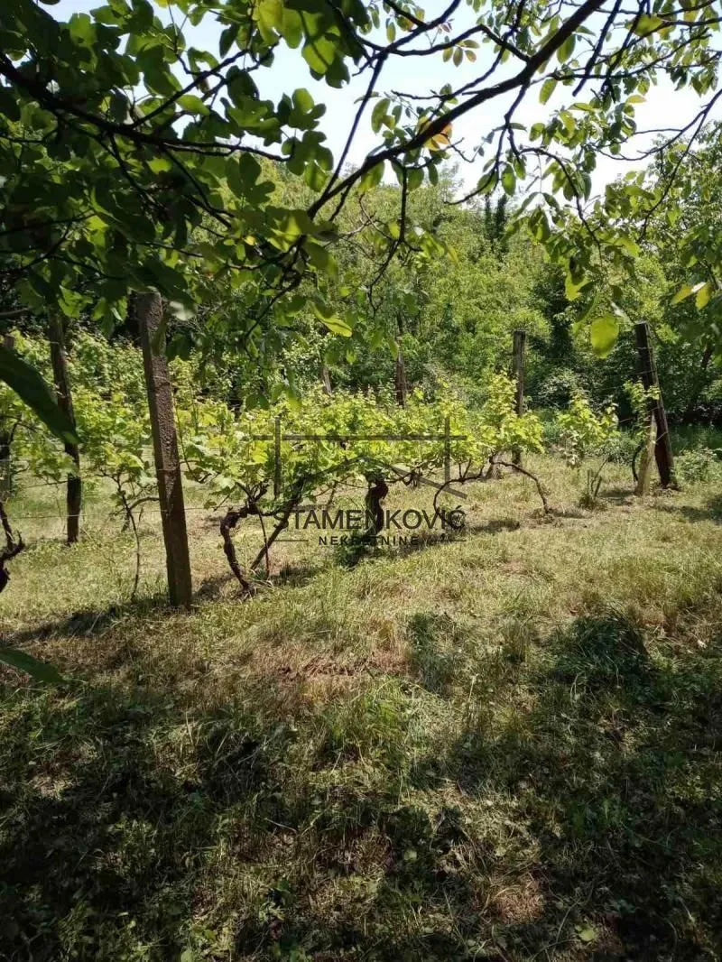 Prodaja, kuća, 30m², Berkasovo, Šid
