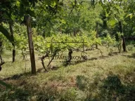 Sale, house, 30m², Berkasovo, Šid - image 2