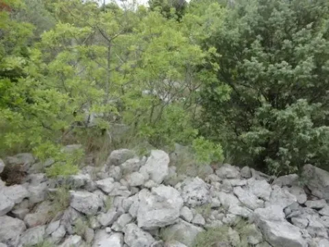 Prodaja, plac, 598m², Luštica, Herceg Novi - image 3