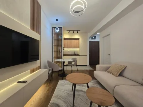 Izdavanje, jednosoban stan, 35m², Stari Aerodrom, Podgorica - image 2