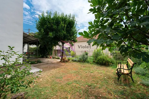 Zeleno dvorište sa klupom, drvećem i ukrasnim biljem. - image 22