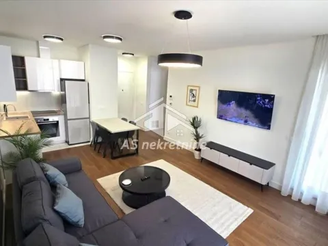 Izdavanje, dvosoban stan, 52m², Banovo Brdo, Beograd - image 2