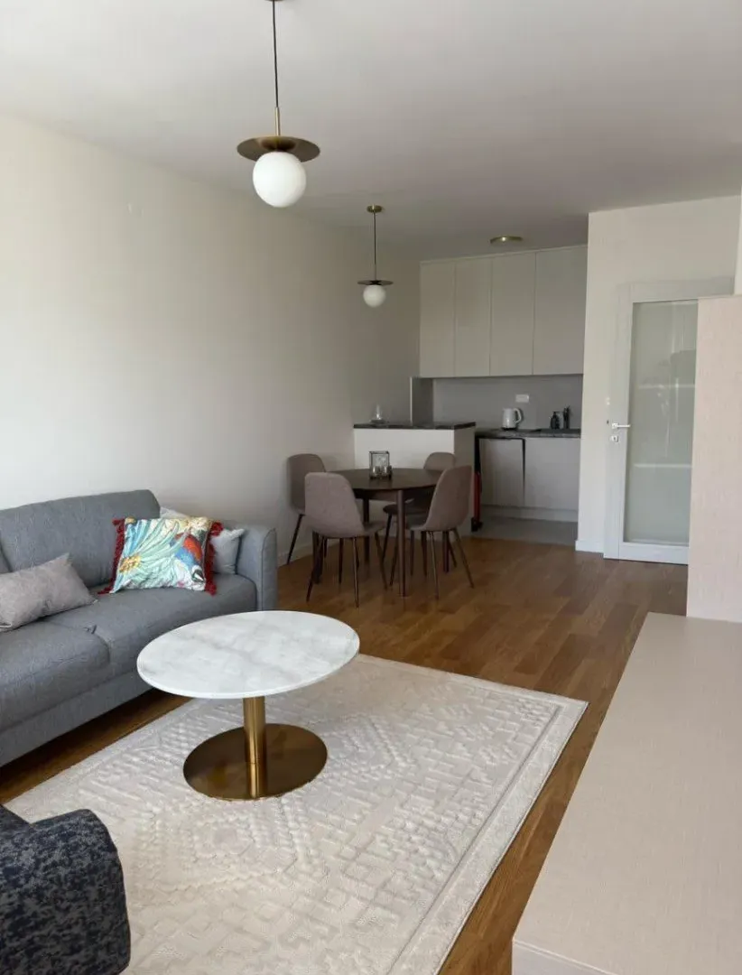 Rent, one bedroom apartment, 49m², Central Point, Podgorica
