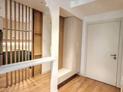 Izdavanje, dvosoban stan, 54m², Lion, Zvezdara Sve Podlokacije - image 11