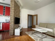 Rent, one bedroom apartment, 48m², Tološi, Podgorica - image 9