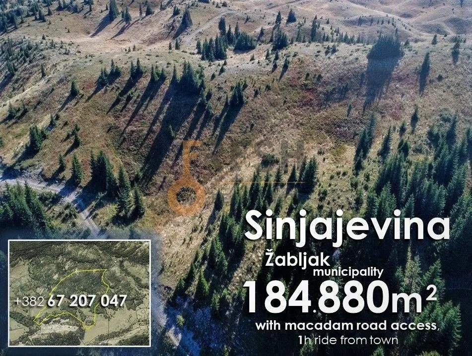 Prodaja, plac, 184880m², Žabljak, Crna Gora