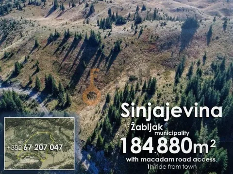 Prodaja, plac, 184880m², Žabljak, Crna Gora - image 4