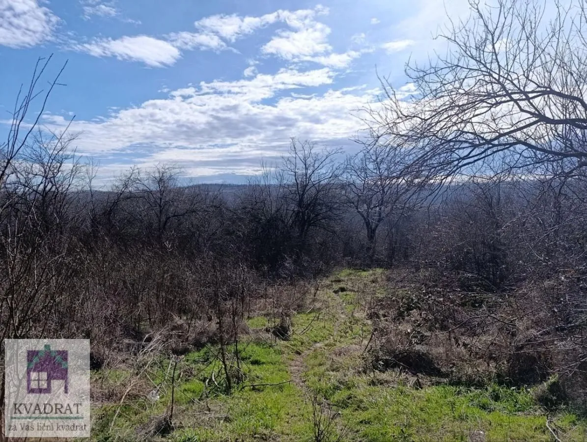 Prodaja, plac, 6500m², Mala Moštanica, Obrenovac