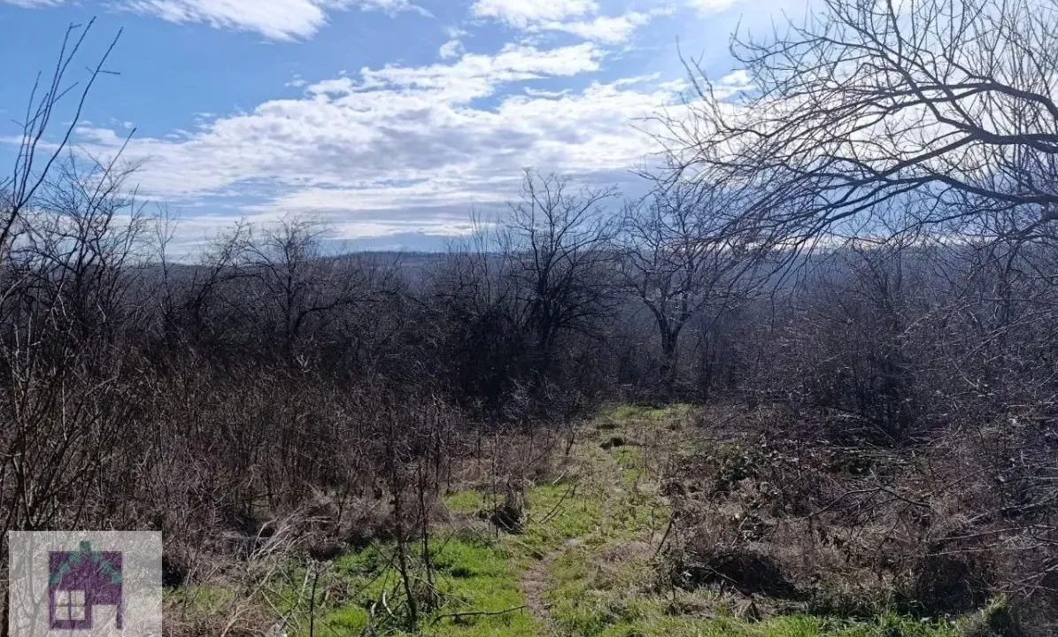 Prodaja, plac, 6500m², Mala Moštanica, Obrenovac