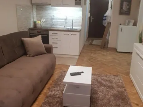 Izdavanje, jednosoban stan, 42m², Novi Sad, Srbija - image 6