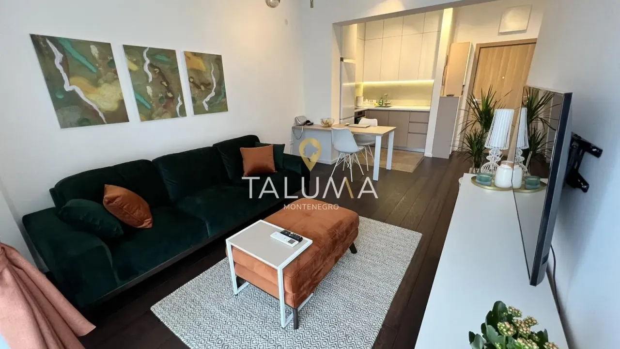 Rent, one bedroom apartment, 48m², Momišići, Podgorica