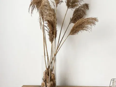 Sale, one bedroom apartment, 41m², Subotica, Srbija - image 3