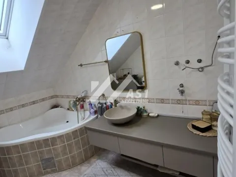 Rent, house, 280m², Rumenka, Novi Sad Sve Podlokacije - image 9