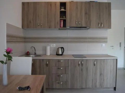 Prodaja, kuća, 469m², Đuraševići, Tivat - image 21