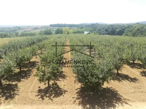 Sale, land lot, 71200m², Banja Vrdnik, Irig - image 2