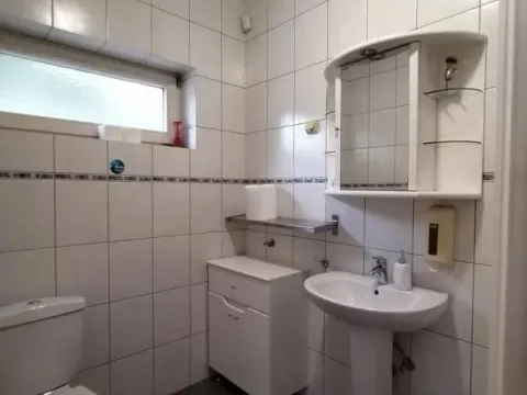 Izdavanje, poslovni prostor, 750m², Telep, Novi Sad Sve Podlokacije - image 29