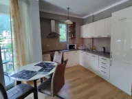 Izdavanje, jednosoban stan, 55m², Bečići, Budva - image 8