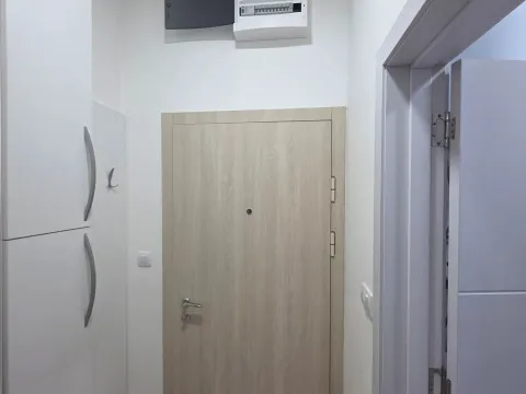 Izdavanje, stan, 38m², Zabjelo, Podgorica - image 9