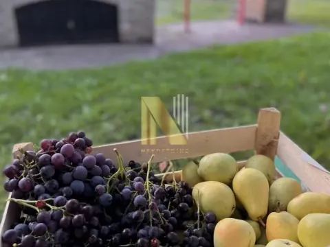 Sale, land lot, 190m², Kikinda, Srbija - image 24