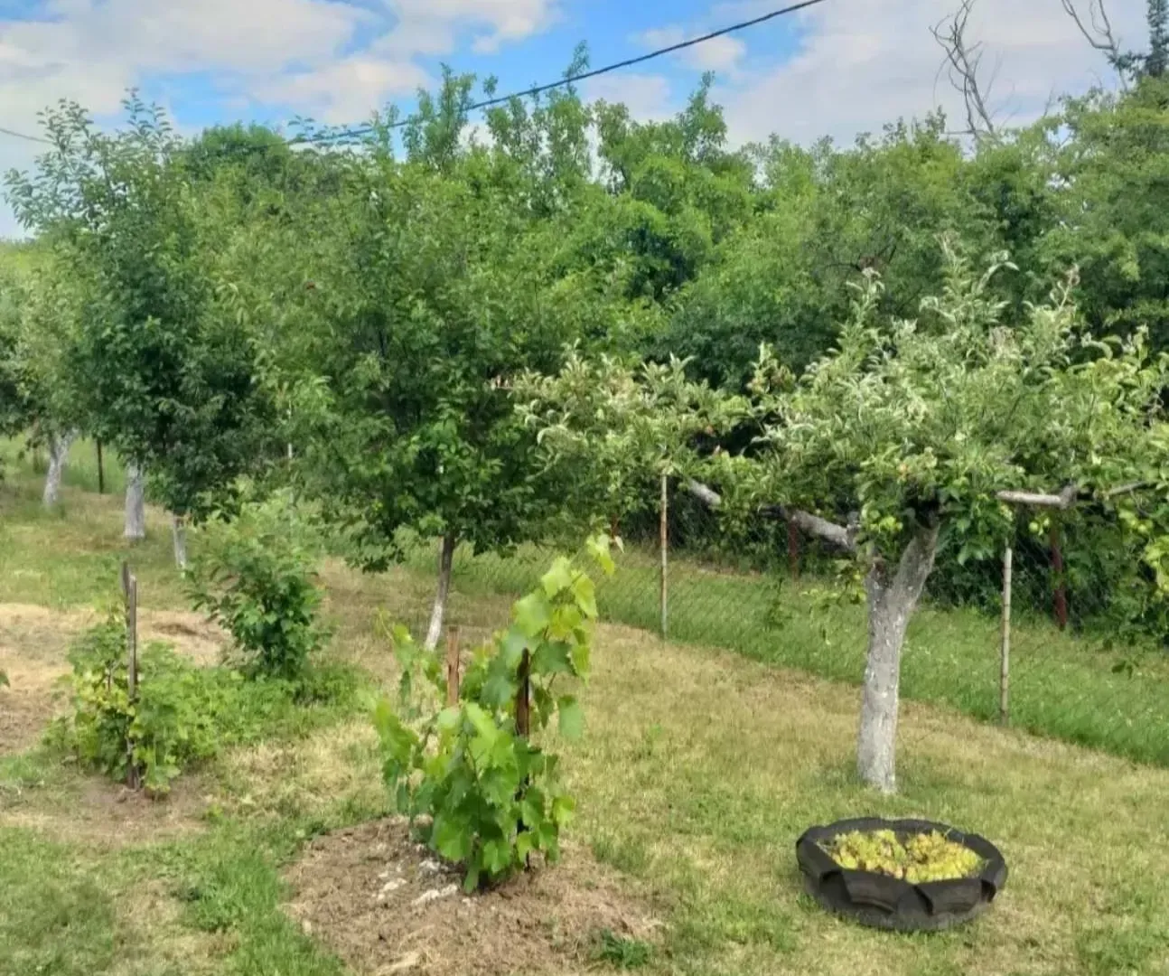 Sale, house, 90m², Grocka, Beograd