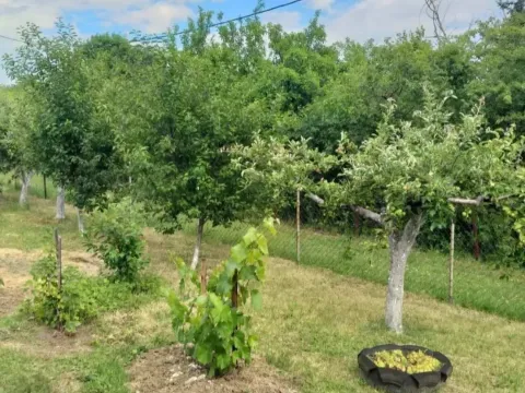 Sale, house, 90m², Grocka, Beograd - image 7