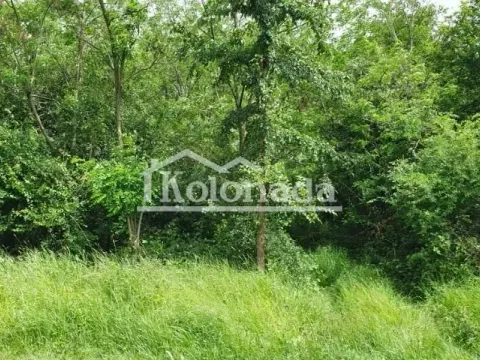 Prodaja, plac, 4722m², Sopot, Beograd - image 2