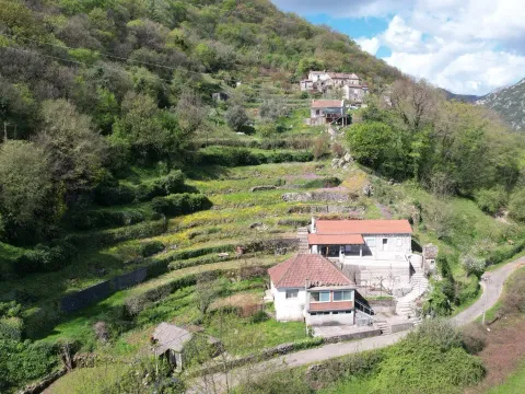 Prodaja, kuća, 150m², Virpazar, Bar - image 3