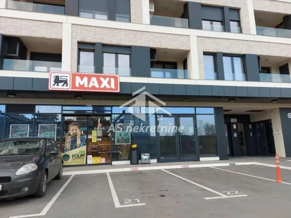 Rent, two bedroom apartment, 60m², Novi Beograd Blok 65, Novi Beograd Sve Podlokacije