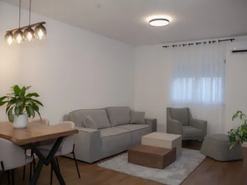 Izdavanje, jednosoban stan, 47m², Stari Aerodrom, Podgorica - image 8