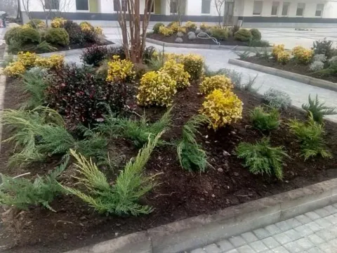 Izdavanje, jednosoban stan, 29m², Rotkvarija, Novi Sad Sve Podlokacije - image 17