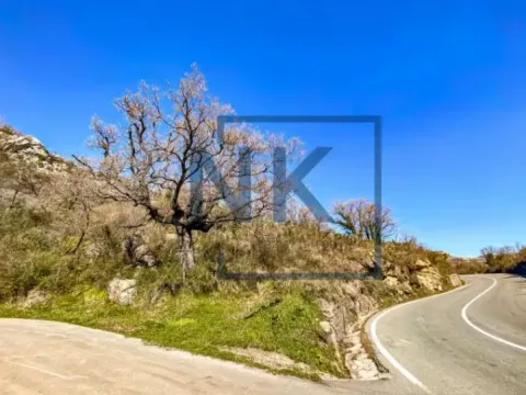 Sale, land lot, 5914m², Petrovac, Budva - image 3