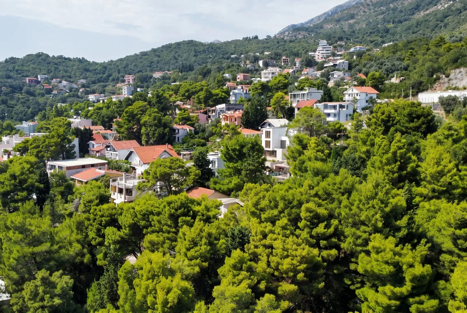 Pogled na kuće okružene gustom šumom na brdu.