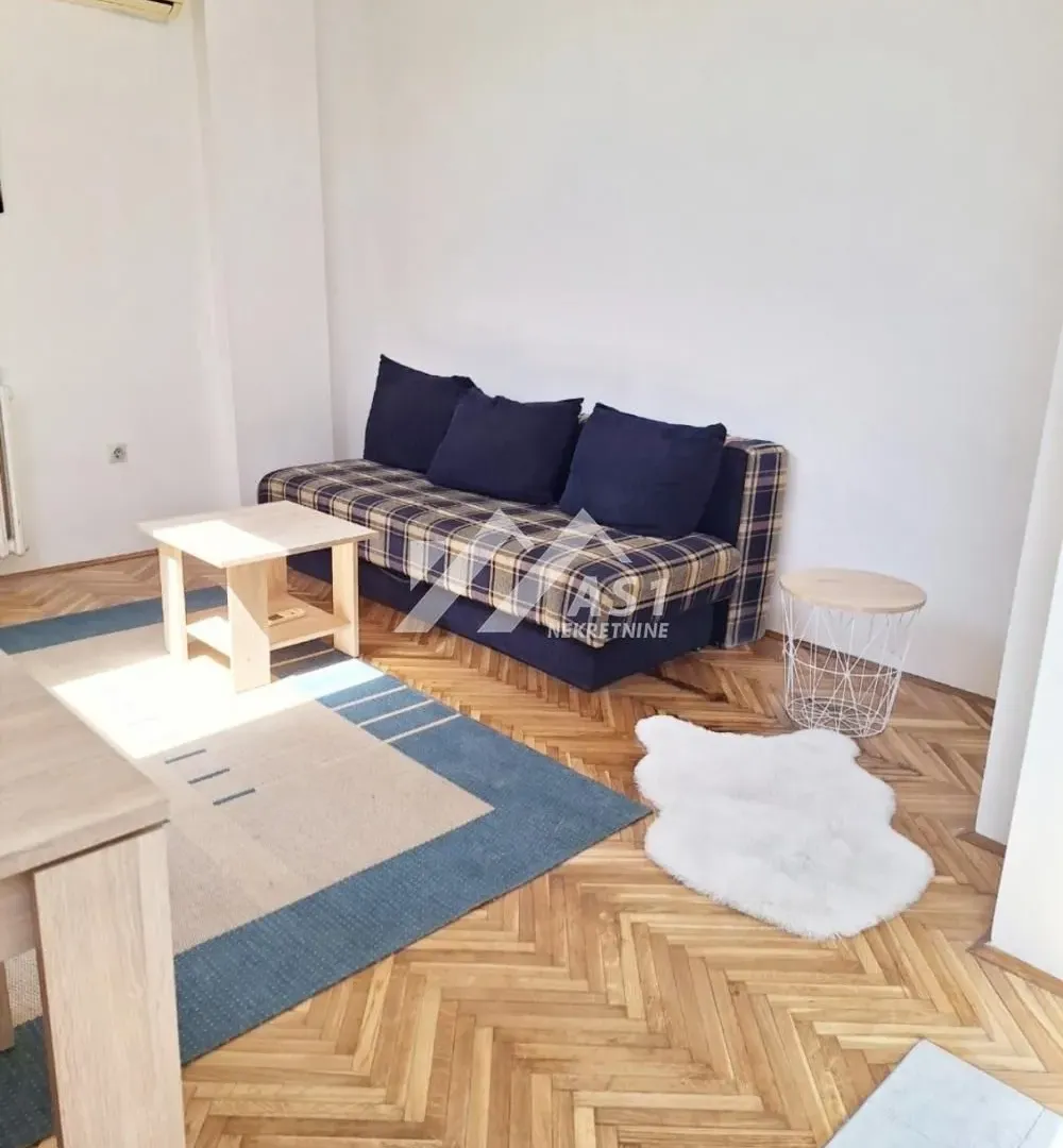Izdavanje, stan, 22m², Bulevar Oslobodjenja, Novi Sad Sve Podlokacije