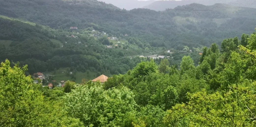 Prodaja, plac, 5300m², Bašanje Brdo, Kolašin