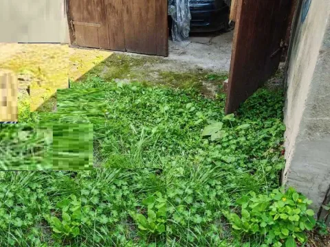 Sale, parking/garage, 17m², Zemun Sve Podlokacije, Beograd - image 2