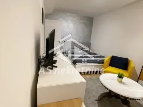 Izdavanje, dvosoban stan, 50m², Novi Beograd Sve Podlokacije, Beograd - image 9