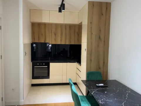 Izdavanje, jednosoban stan, 48m², Podgorica, Crna Gora - image 8