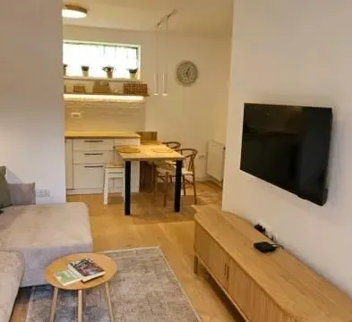 Izdavanje, jednosoban stan, 38m², Centar, Novi Sad - image 4