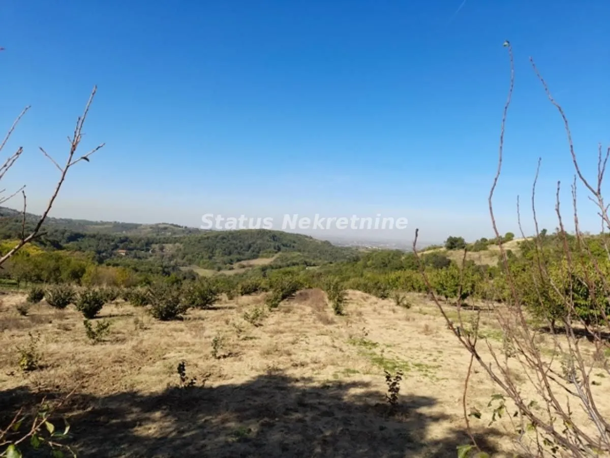 Prodaja, plac, 7900m², Ledinci, Petrovaradin