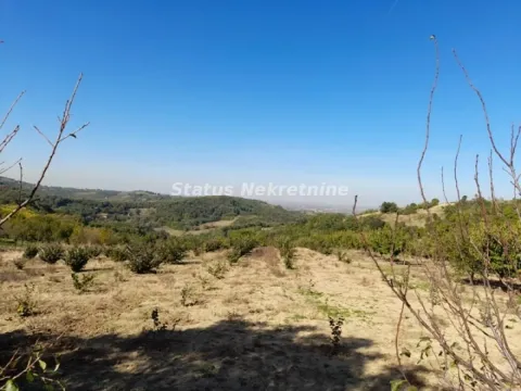 Prodaja, plac, 7900m², Ledinci, Petrovaradin - image 2