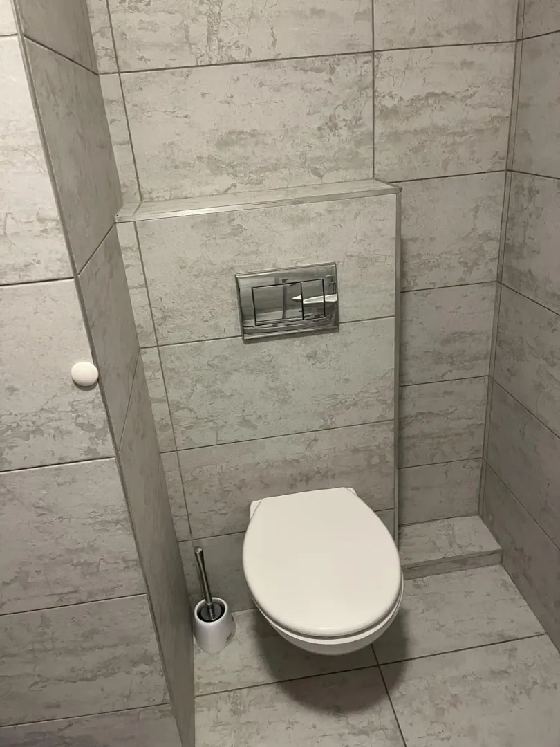 Bathroom with a modern toilet and grey tiles.