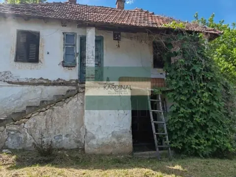 Prodaja, kuća, 250m², Crnče, Jagodina - image 27