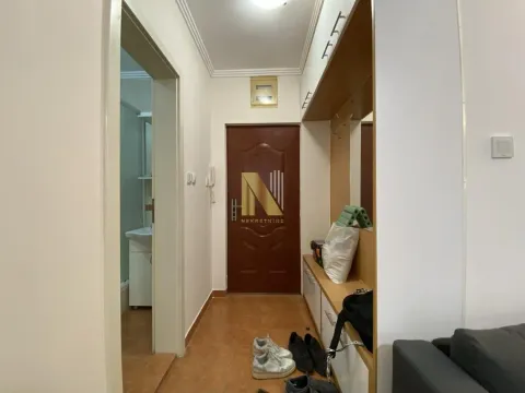 Izdavanje, jednosoban stan, 31m², Salajka, Novi Sad Sve Podlokacije - image 11