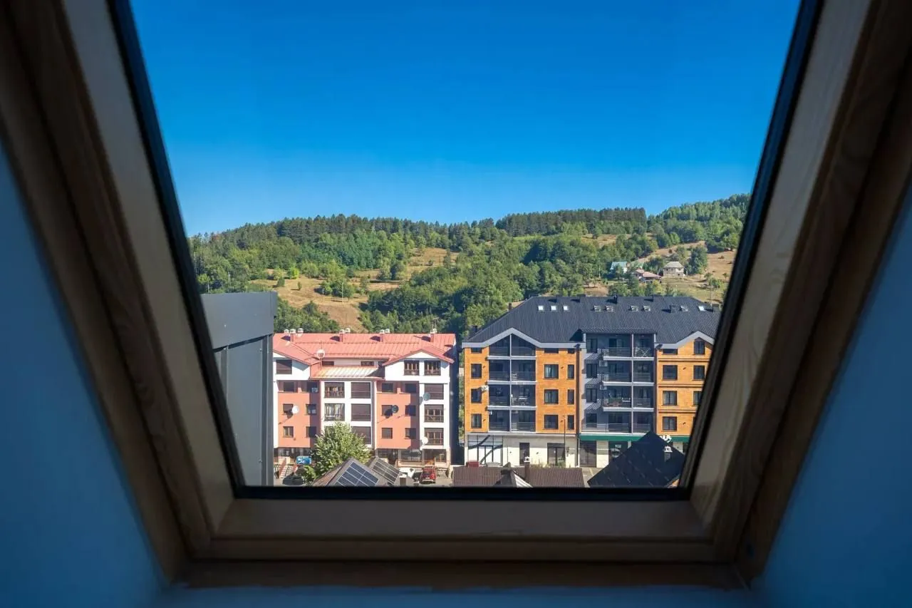 View from the roof window overlooking surrounding buildings and nature.