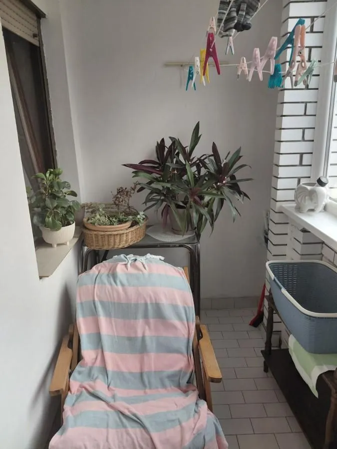 Prodaja, dvosoban stan, 69m², Sajmište, Novi Sad