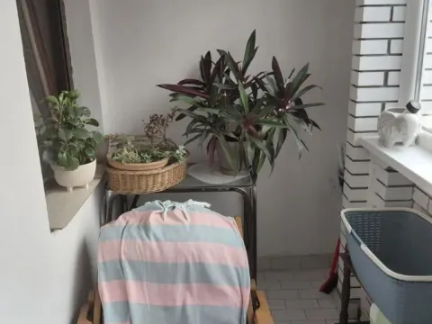 Prodaja, dvosoban stan, 69m², Sajmište, Novi Sad - image 11