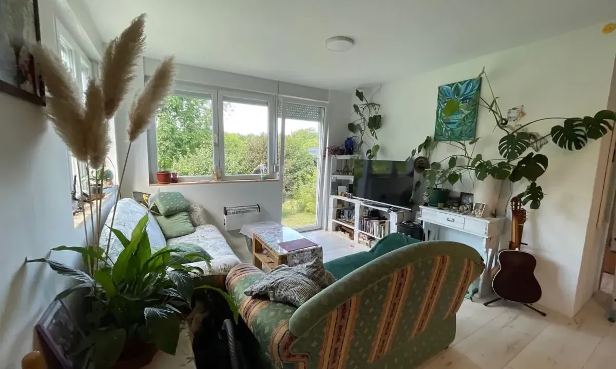 Sale, house, 55m², Sremska Kamenica, Petrovaradin