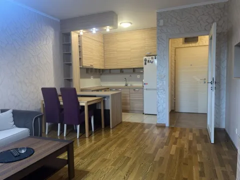 Izdavanje, jednosoban stan, 50m², Ljubović, Podgorica