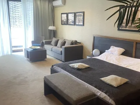 Izdavanje, jednosoban stan, 55m², Savski Venac, Beograd